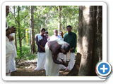 puthankulangara Temple Tripunithura2